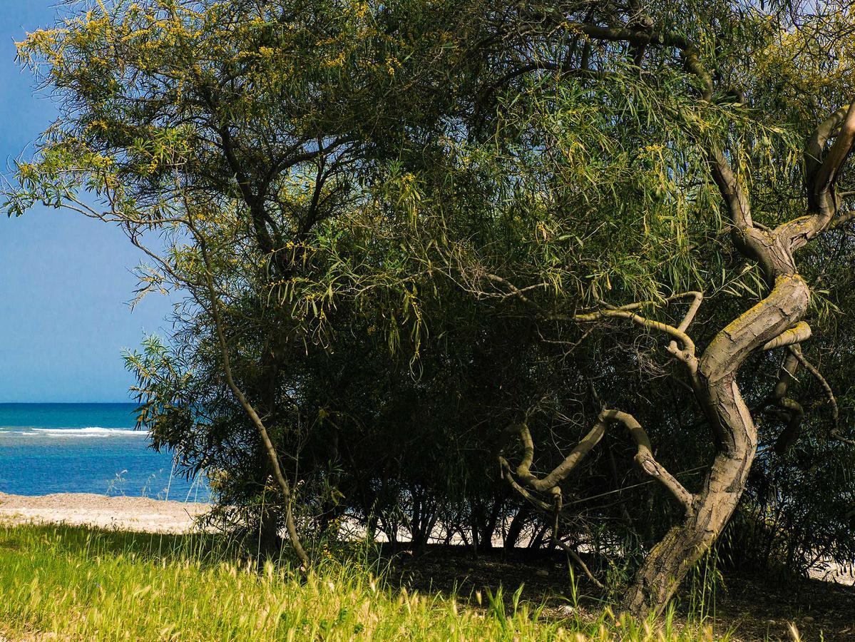Camping Cala D'Ostia Пула Экстерьер фото